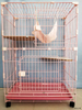 Cages de chat vétérinaire de cage de chat d'animal familier de 2 couches