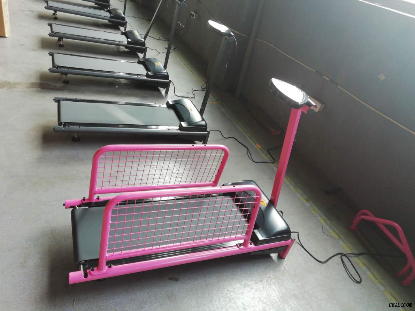Tapis roulant électrique d'animal familier de machine de sport WT-C100 de prix usine à vendre