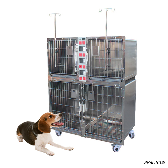Cages médicales pour animaux de compagnie WTC-06 pour acier inoxydable 304 à vendre